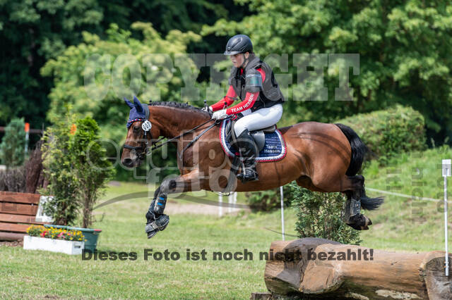 Goldene Schärpe 2021 - Ponys