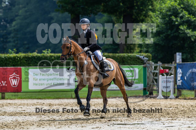 Goldene Schärpe 2021 - Ponys