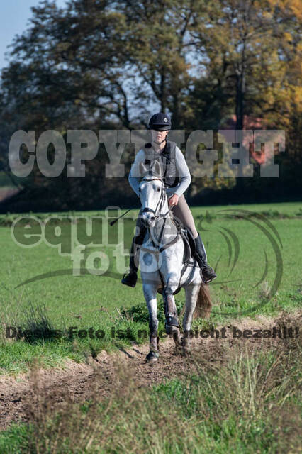 Vielseitigkeitslehrgang mit Jürg Kurbel (9.+10.11.2019)