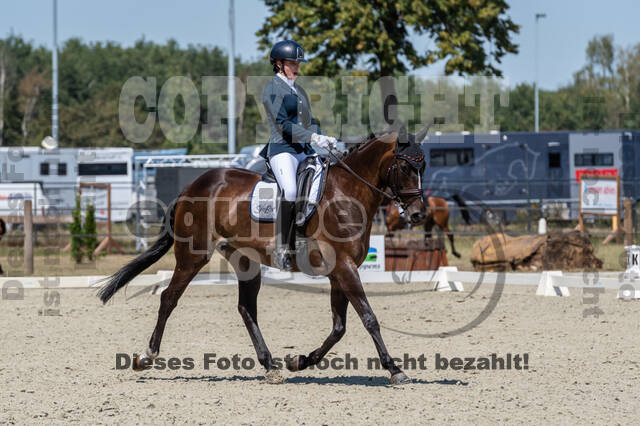 Kronenberg - De Peelbergen (August 2020)