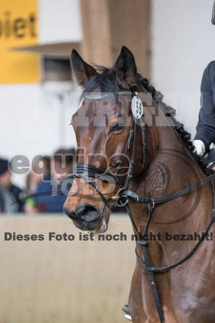 Vierkampf Kreismeisterschaft Wesel 2018