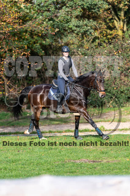 IGV Lehrgang der Sieger der Cups mit Frank Ostholt