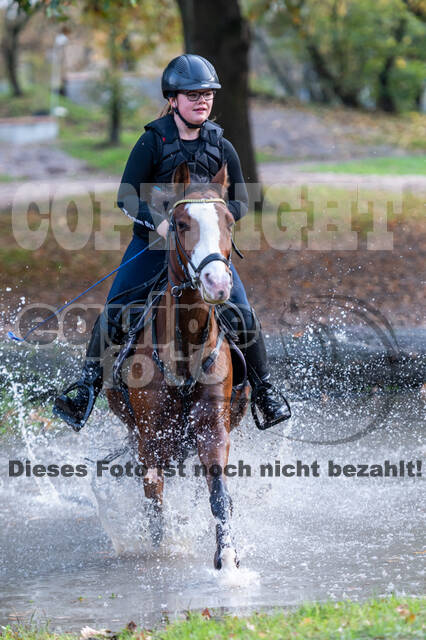 IGV Lehrgang der Sieger der Cups mit Frank Ostholt