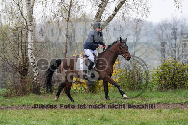 Berufsreiter Late Entry Gahlen 2021