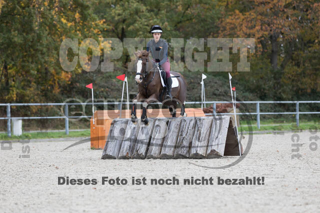 IGV Lehrgang der Sieger der Cups mit Frank Ostholt
