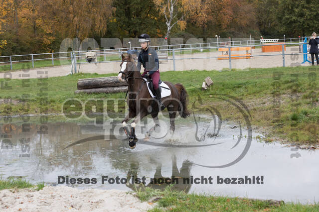 IGV Lehrgang der Sieger der Cups mit Frank Ostholt