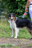 Late-Entry-Vielseitigkeit Gahlen (18.07.2020)