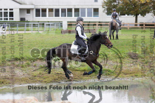 IGV Lehrgang der Sieger der Cups mit Frank Ostholt