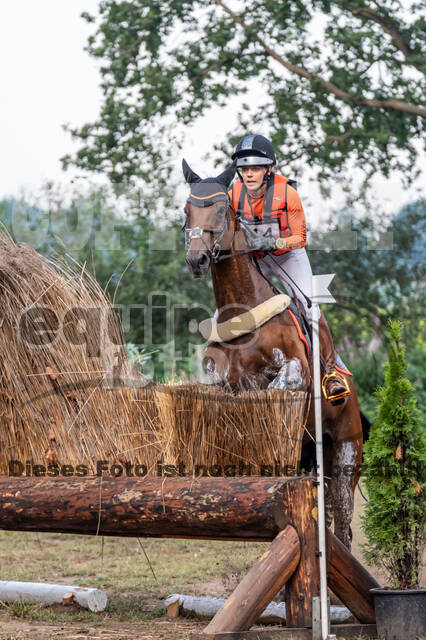 De Peelbergen (August 2020)