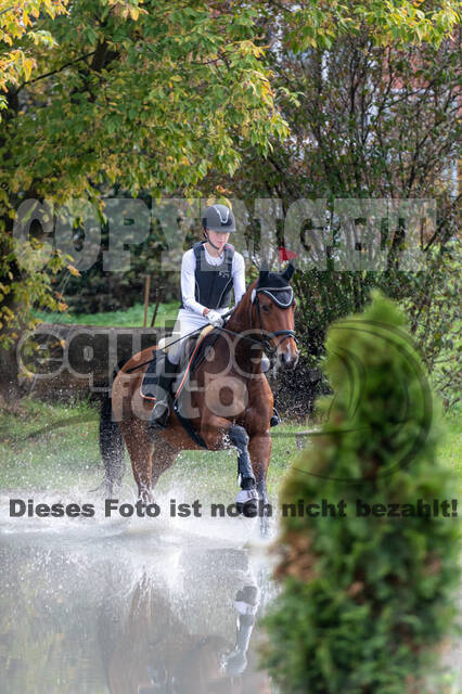 Goldene Schärpe 2020 - Pferde