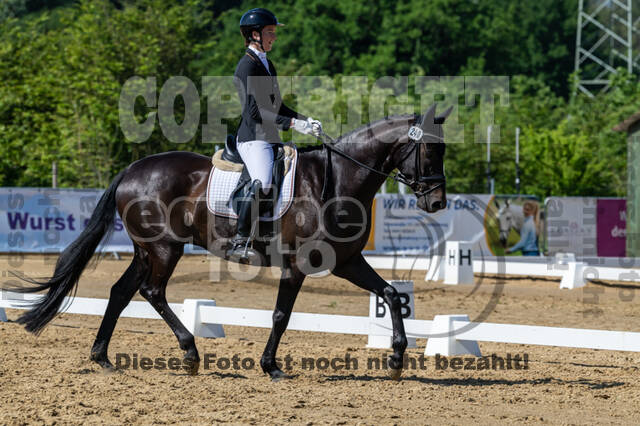 Westerstede Horse Trials 2021