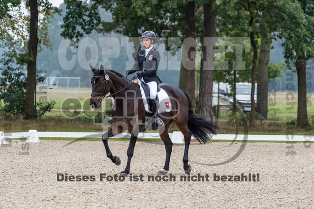 Deutsche Meisterschaft Vielseitigkeit (Luhmühlen)