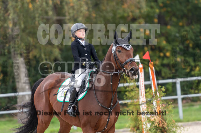 Goldene Schärpe 2020 - Pferde