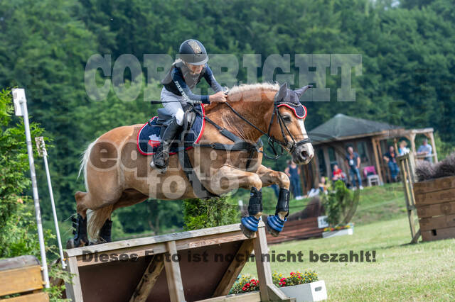 Goldene Schärpe 2021 - Ponys