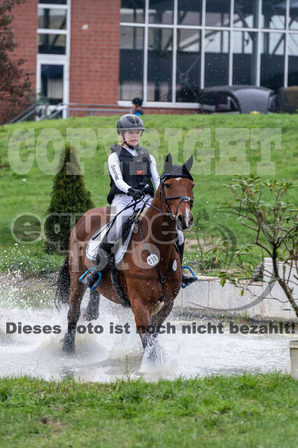 Goldene Schärpe 2020 - Pferde