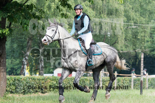RFV Bad Honnef