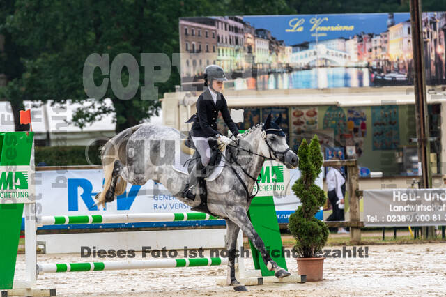 Goldene Schärpe 2021 - Ponys