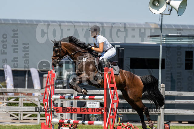 Kronenberg - De Peelbergen (August 2020)