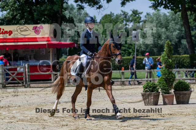 Goldene Schärpe 2021 - Ponys