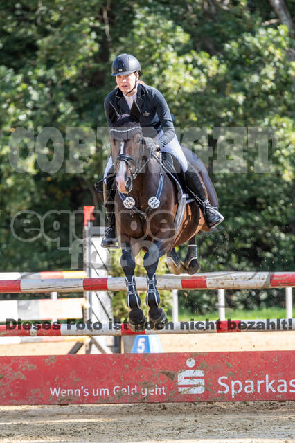 RFV Dinslaken-Hiesfeld (Herbstturnier)