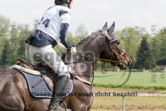 Vielseitigkeitsturnier RuFV Rheurdt