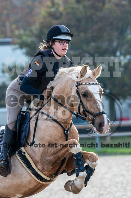 IGV Lehrgang der Sieger der Cups mit Frank Ostholt