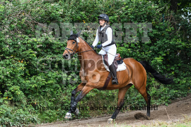 Late-Entry-Vielseitigkeit Langenfeld (11.+13./14.06.2020)