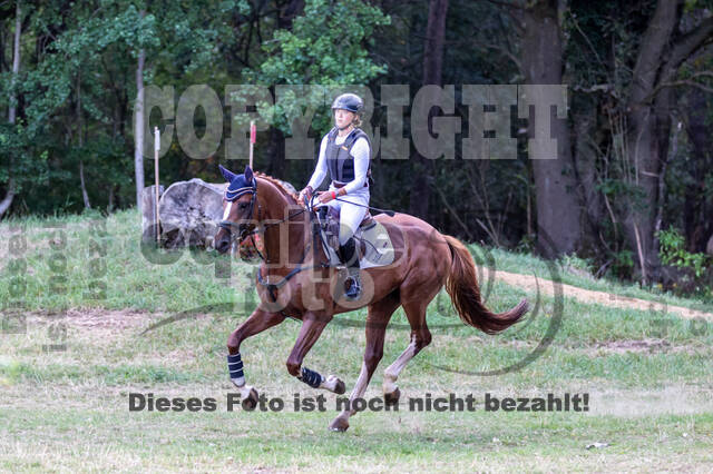 Late-Entry Vielseitigkeit Hamminkeln/Wesel (01.+02.08.2020)