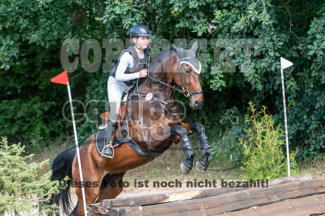 Late-Entry-Vielseitigkeit Langenfeld (11.+13./14.06.2020)