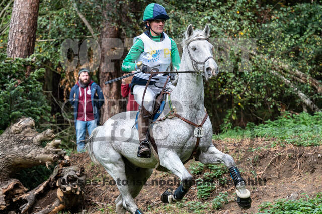 Vielseitigkeit RSV Wesel Obrighoven (26.+27.09.2020)
