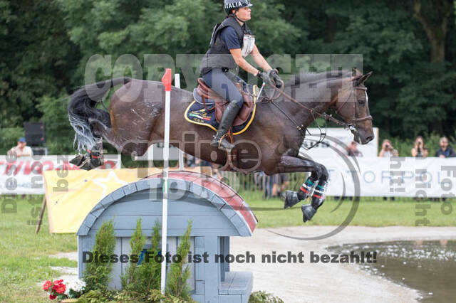 FEI European Championship