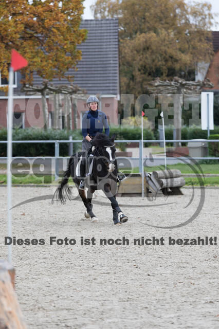 IGV Lehrgang der Sieger der Cups mit Frank Ostholt