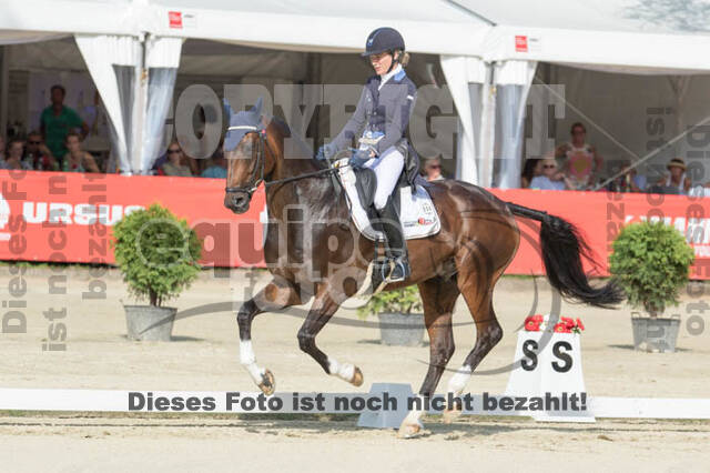 FEI European Championship Eventing 2017