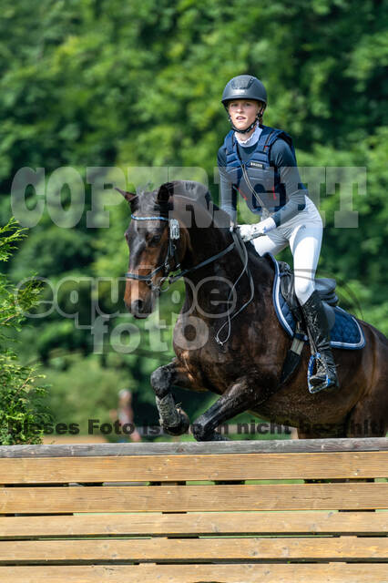 Goldene Schärpe 2021 - Ponys