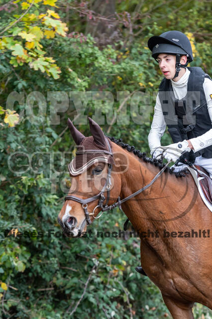 Goldene Schärpe 2020 - Pferde