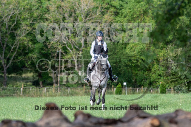 Bonn-Rodderberg Late-Entry-Vielseitigkeit (30.06.2020)