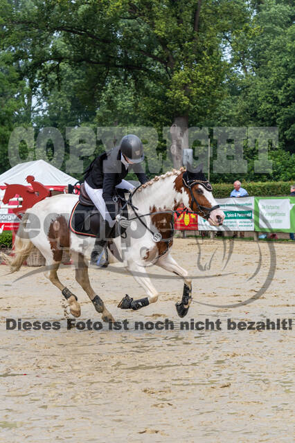 Goldene Schärpe 2021 - Ponys