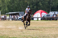 Late-Entry Vielseitigkeit Hamminkeln/Wesel (01.+02.08.2020)
