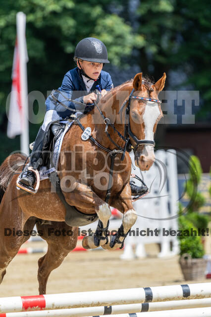 Goldene Schärpe 2021 - Ponys