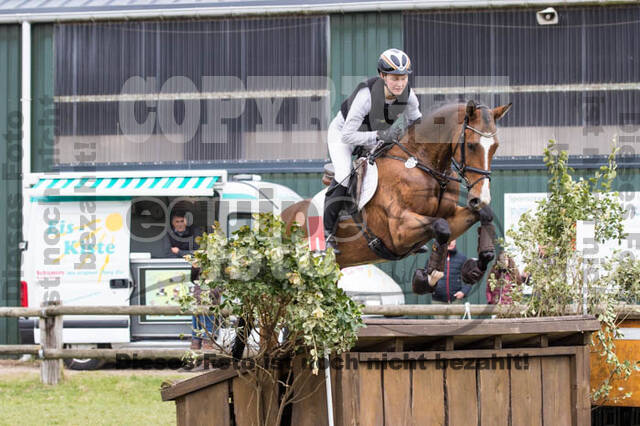 Jungpferdetag Hamminkeln