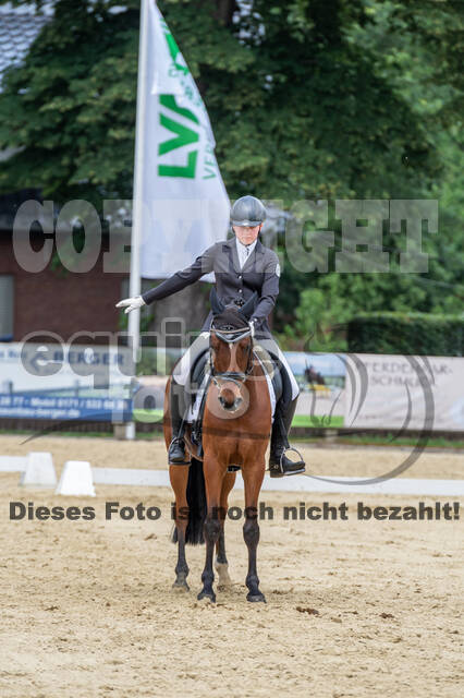 Goldene Schärpe 2021 - Ponys