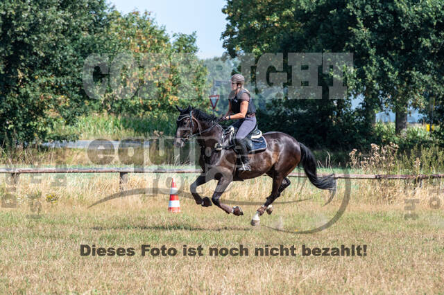 Hunter Geländetraining (16.08.2020)