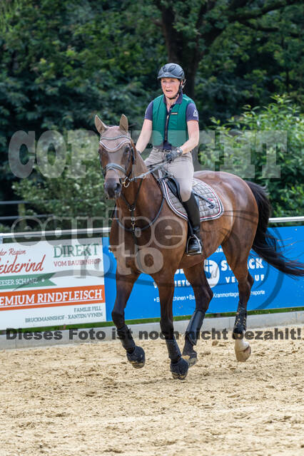 Hunter Geländetraining 10.07.2021 (Sonsbeck)