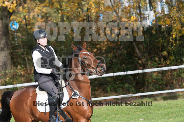 IGV Lehrgang der Sieger der Cups mit Frank Ostholt
