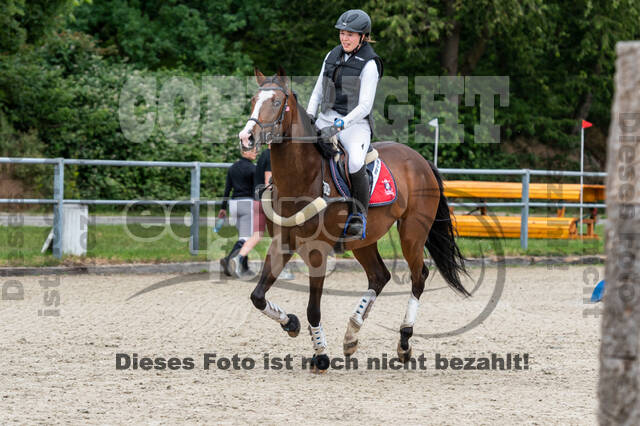 Late-Entry-Vielseitigkeit Langenfeld (11.+13./14.06.2020)