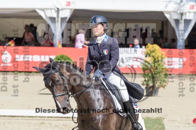 FEI European Championship