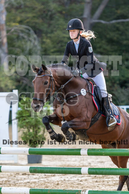 RFV Dinslaken-Hiesfeld (Herbstturnier)