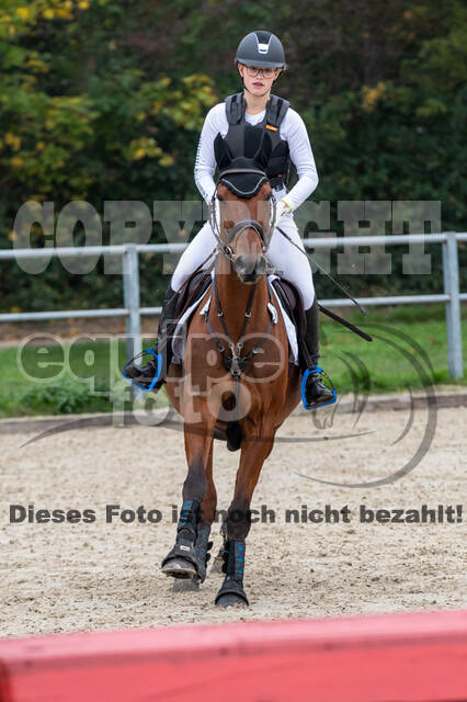 Goldene Schärpe 2020 - Pferde