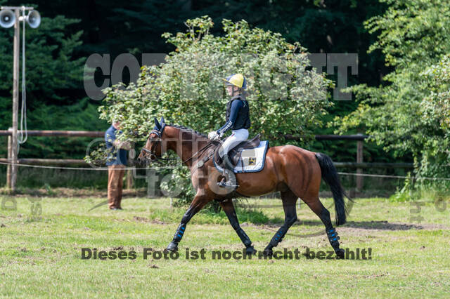 Goldene Schärpe 2021 - Ponys