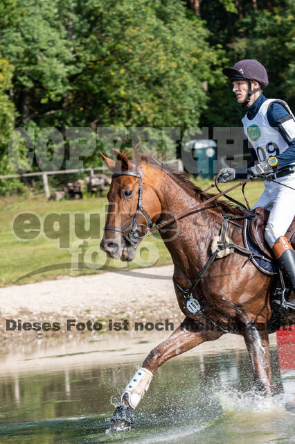 Deutsche Meisterschaft Vielseitigkeit (Luhmühlen)